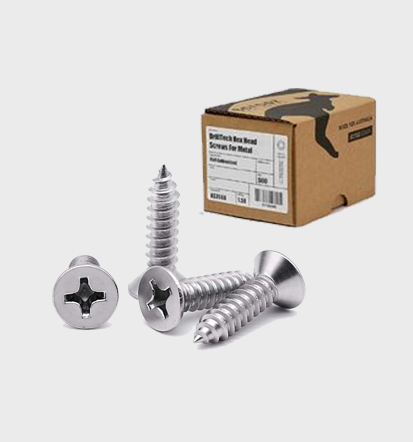 1000 Pcs Screws sets